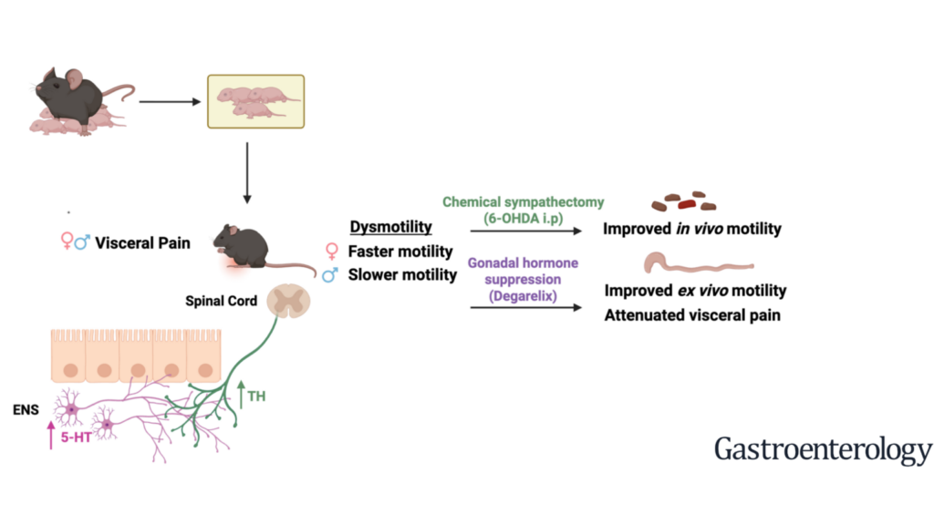 Gut-brain-changes-and-pediatric-GI-disorders