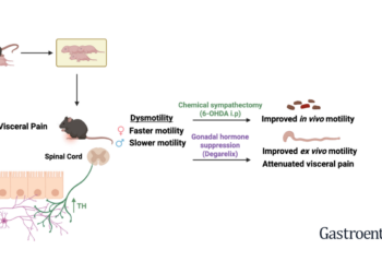 Gut-brain-changes-and-pediatric-GI-disorders